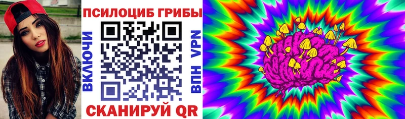 Купить закладки  Буйнакск  Псилоцибиновые грибы ЛСД 