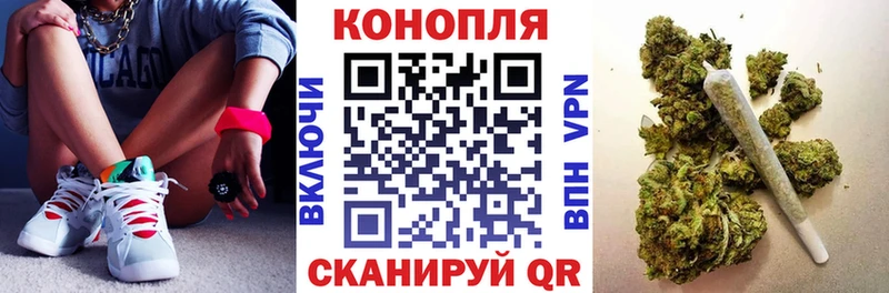 Купить где Буйнакск Бошки Шишки семена